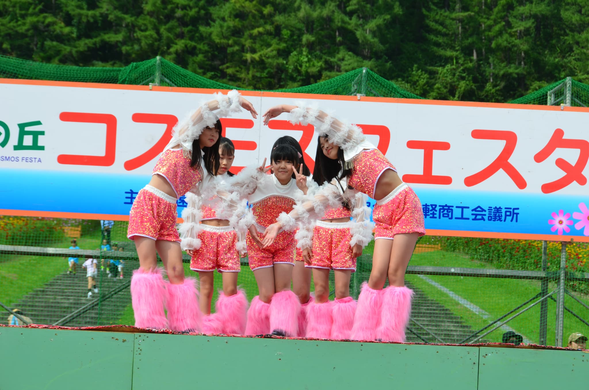 コスモスフェス2025_002